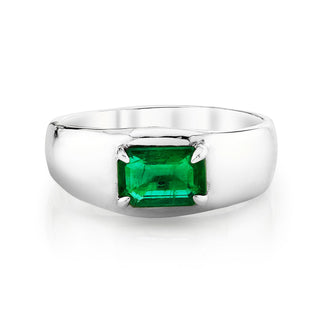 Emerald Cut Emerald Ring 2.75 White Gold  by Logan Hollowell Jewelry